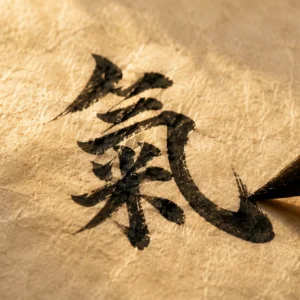 Les théories essentielles du Qi