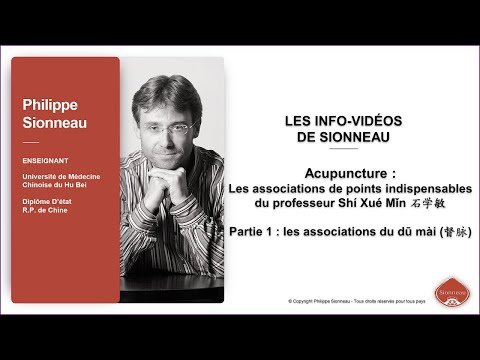 Acupuncture : Les associations de points indispensables du professeur Shí Xué Mǐn 石学敏 - Partie 1 (vidéo)