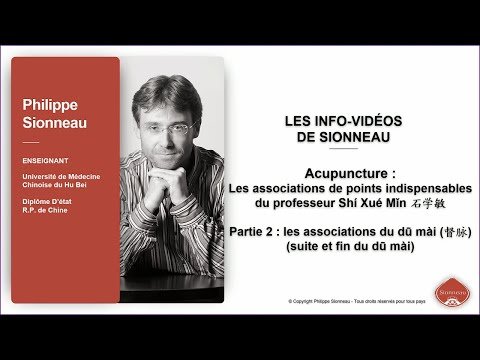 Acupuncture : Les associations de points indispensables du professeur Shí Xué Mǐn 石学敏 - Partie 2 (vidéo)