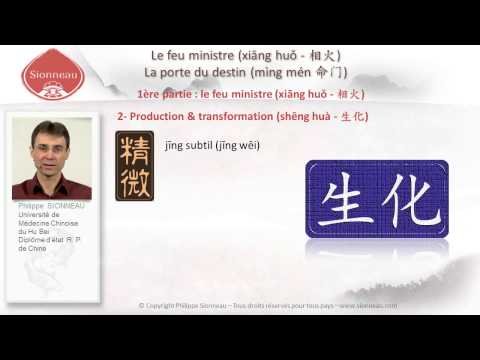 Nouvelle façon d’apprendre la médecine chinoise
