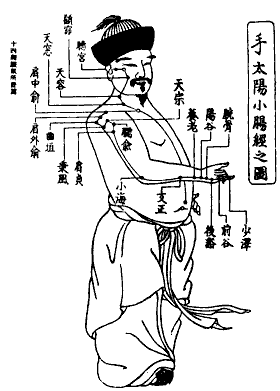Acupuncture : Associations traditionnelles remarquables