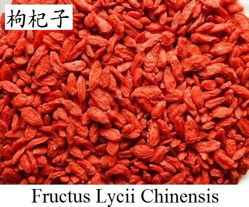 Baie de Goji : mythe ou réalité ? — illustration 1