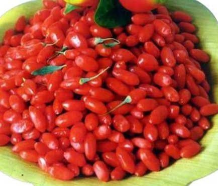 Baie de Goji : mythe ou réalité ? — illustration 3