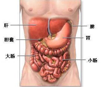 Efficacité de la « vraie » acupuncture dans la maladie de Crohn — illustration 1