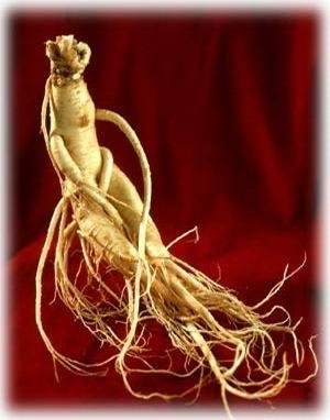 Ginseng : Interaction médicamenteuse & overdose & intoxication