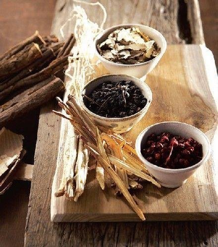 La médecine chinoise au plus haut niveau en Occident