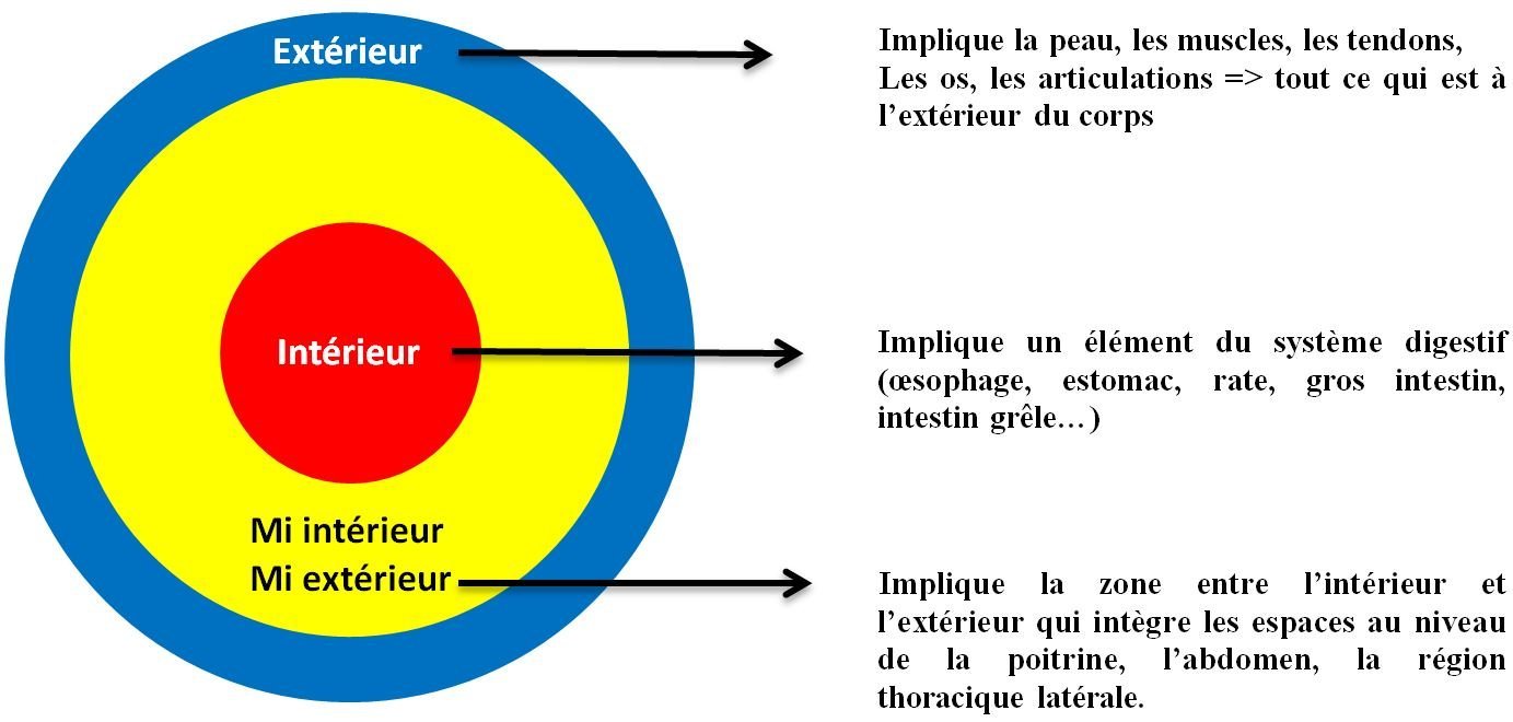 La médecine chinoise classique va révolutionner votre pratique - Partie 3 — illustration 3