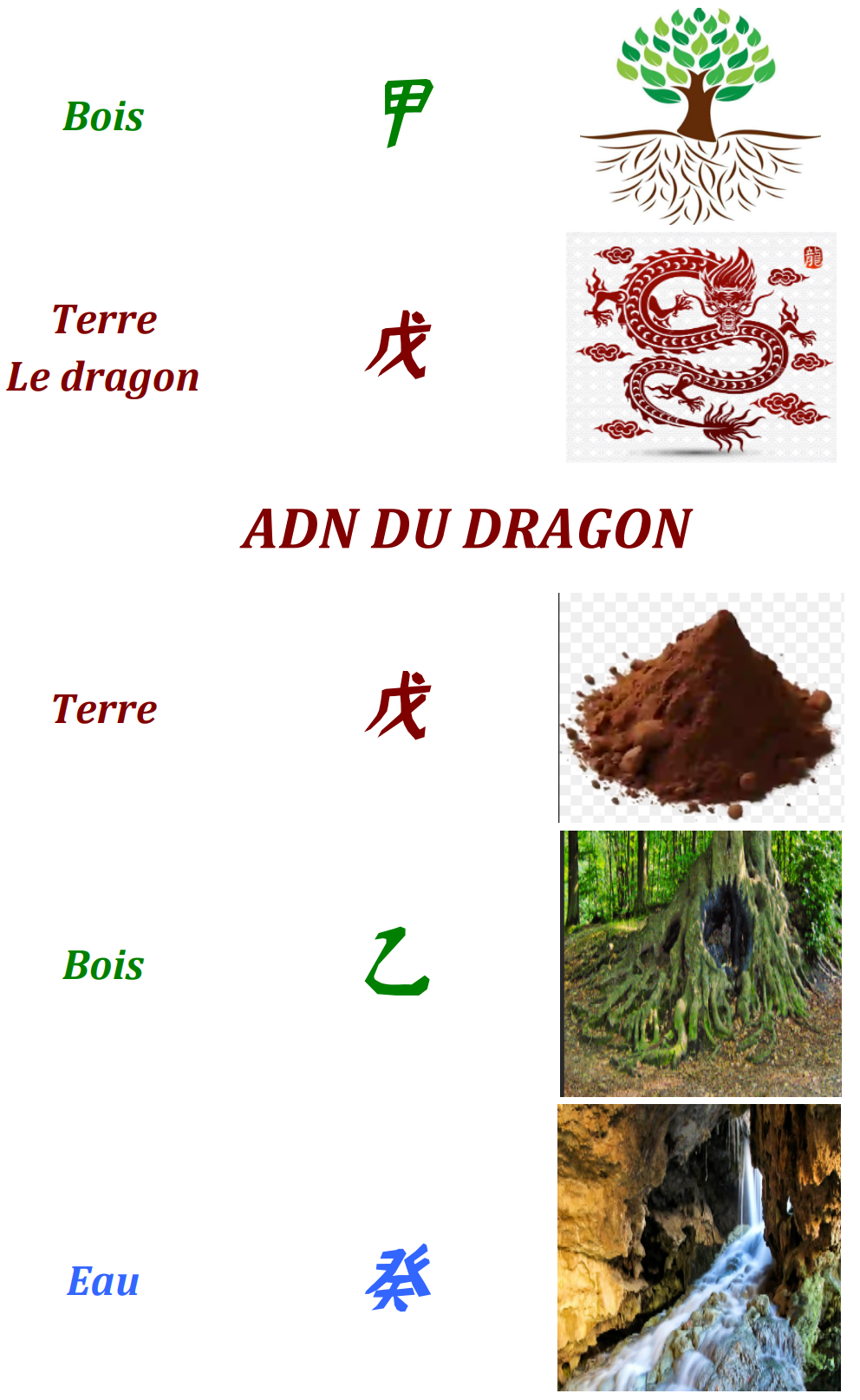 L’année du dragon de bois selon l’astrologie chinoise (2024) — illustration 6