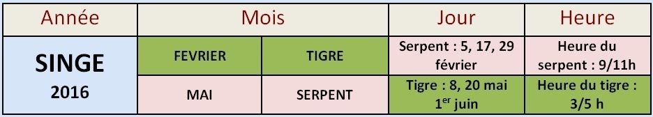 L’année du singe de feu selon l’astrologie chinoise — illustration 26