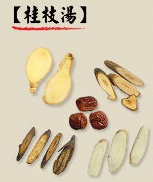 L’œdème de la jardinière - La puissance des prescriptions classiques (jīng fāng 经方) — illustration 4