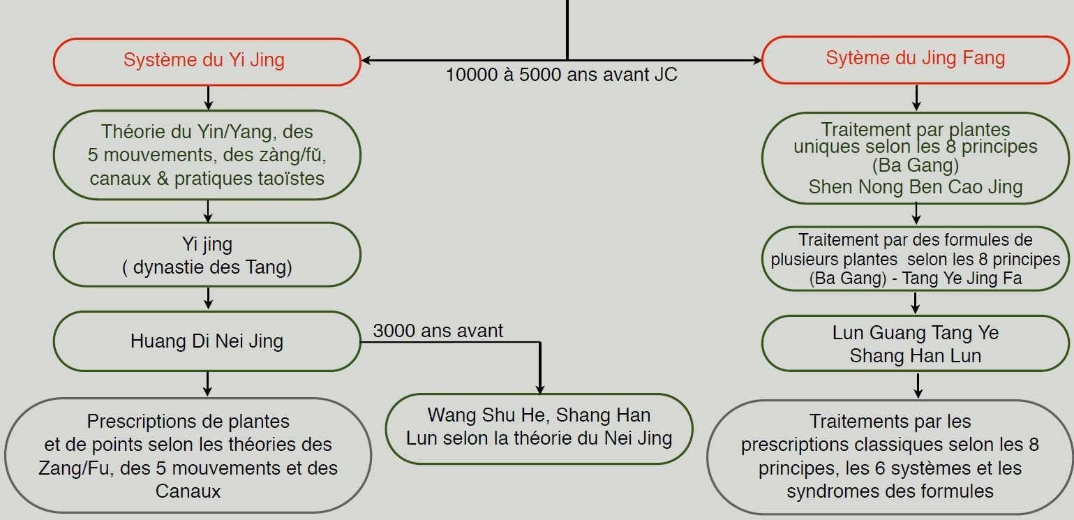Pourquoi la médecine chinoise « classique » va-t-elle révolutionner votre pratique ? — illustration 3