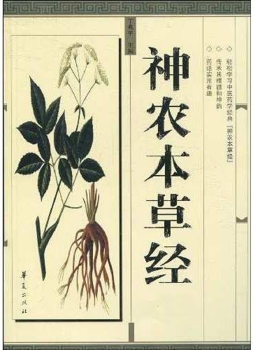 Pourquoi la médecine chinoise « classique » va-t-elle révolutionner votre pratique ? — illustration 5