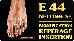 Point E 44 (nèi tíng)