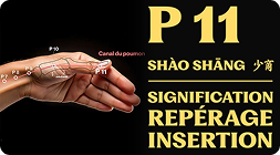Point P 11 (shào shāng)