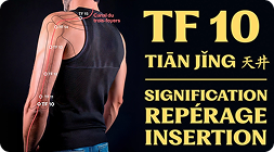 Point TF 10 (tiān jǐng)