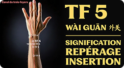Point TF 5 (wài guān)