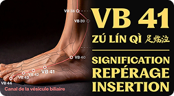 Point VB 41 (zú lín qì)