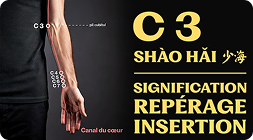 Point C 3 (shào hǎi)