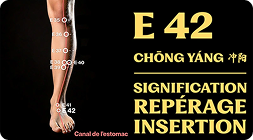 Point E 42 (chōng yáng)