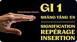 Point GI 1 (shāng yáng)
